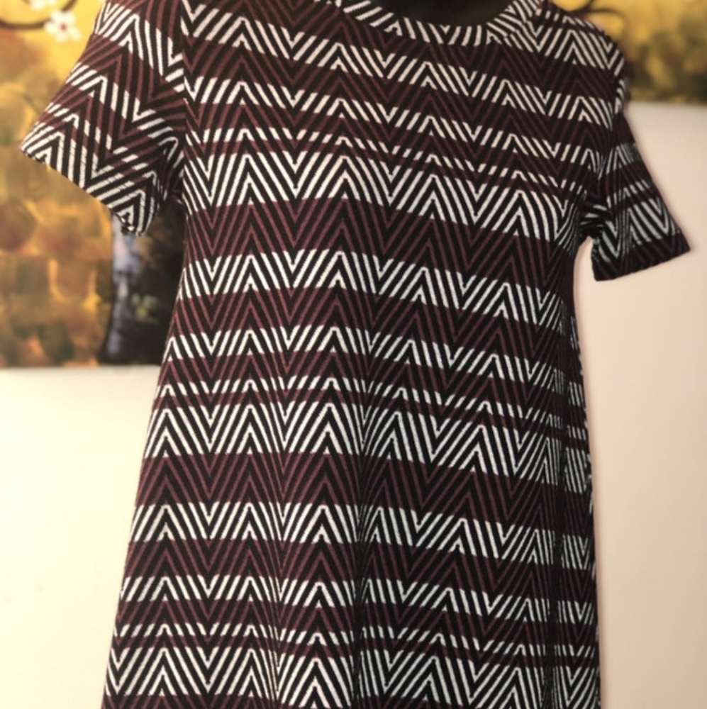 NWOT Zara Trafaluc Dress, Size Medium, Burgundy + Black + White